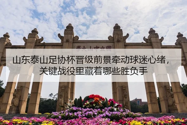 山东泰山足协杯晋级前景牵动球迷心绪，关键战役里藏着哪些胜负手